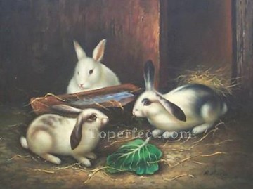 Rabbit Bunny Hare Painting - am025D animal rabbits
